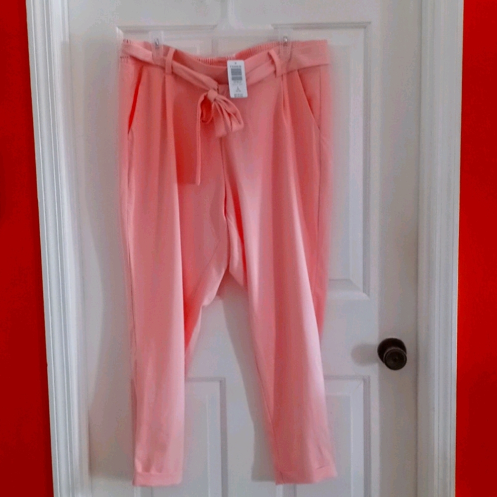 Nwt.Torrid pants.